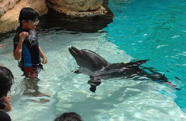 海洋生物園