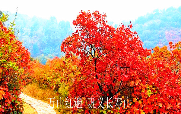 長(zhǎng)壽山