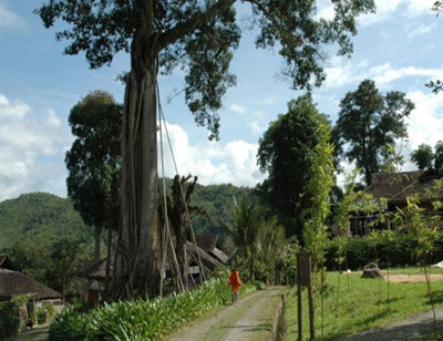 普洱國(guó)家森林公園