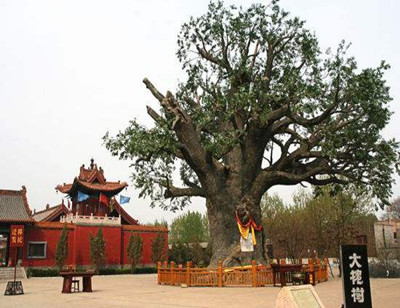 洪洞大槐樹尋根祭祖園